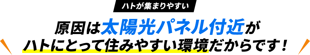 原因は太陽光パネル付近がハトにとって住みやすい環境だからです！
