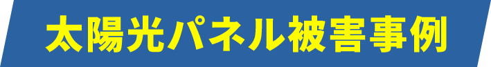 太陽光パネル被害事例