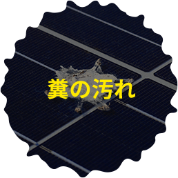 糞の汚れ
