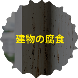 建物の腐食
