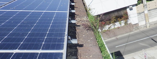 太陽光パネルと屋根の間の鳩対策！屋根との間を好む理由や対策法をご紹介サムネイル