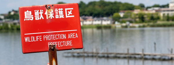 鳥害対策で気を付けたい鳥獣保護法違反とは？罰則について詳しく解説サムネイル
